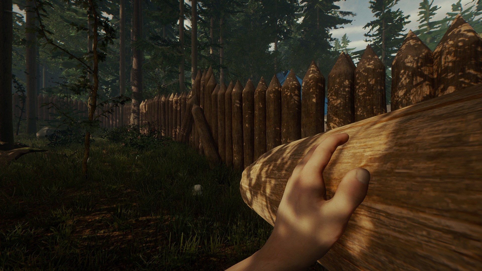 The Forest 