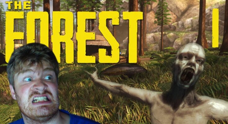 The Forest
