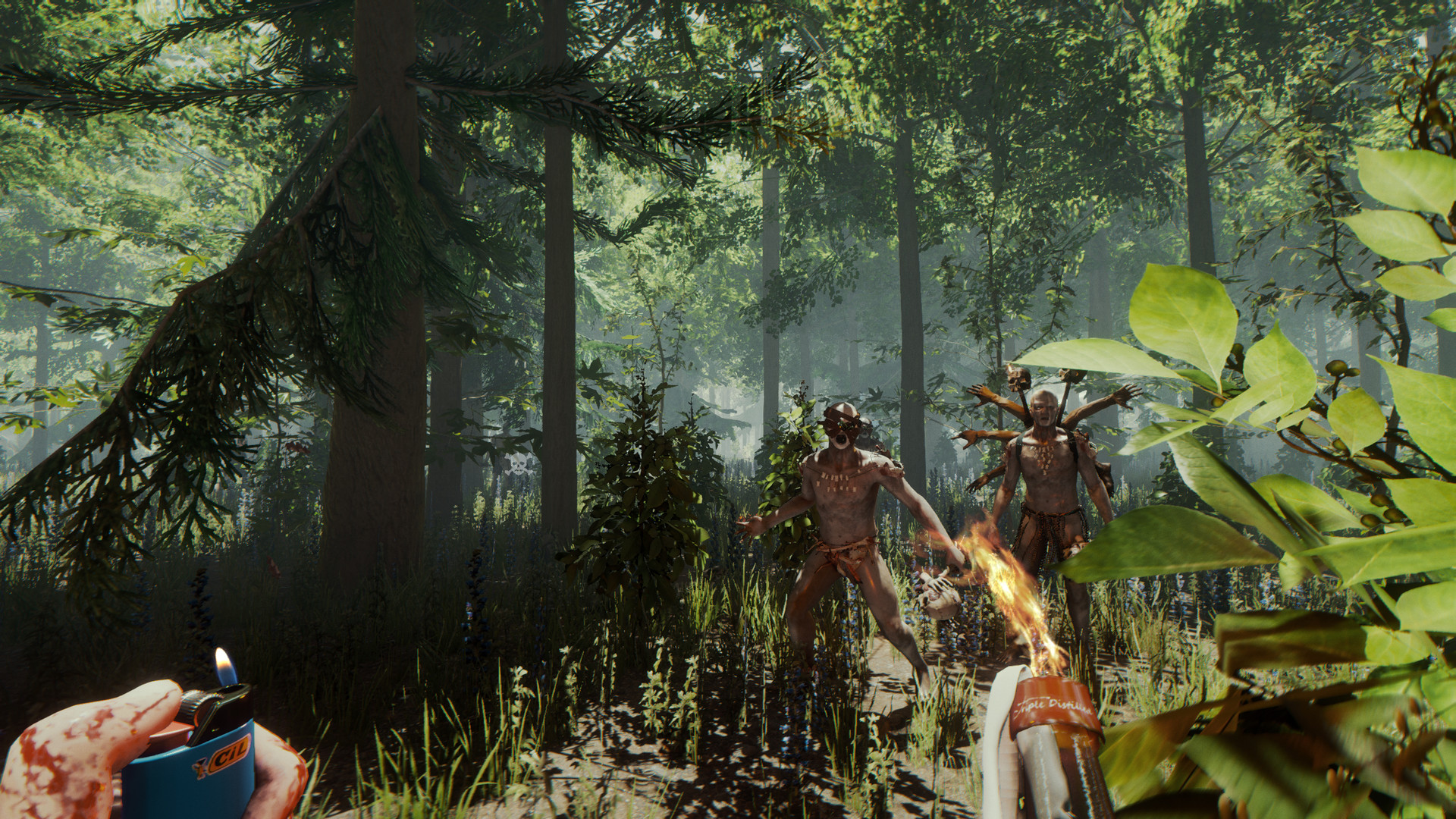 The Forest 