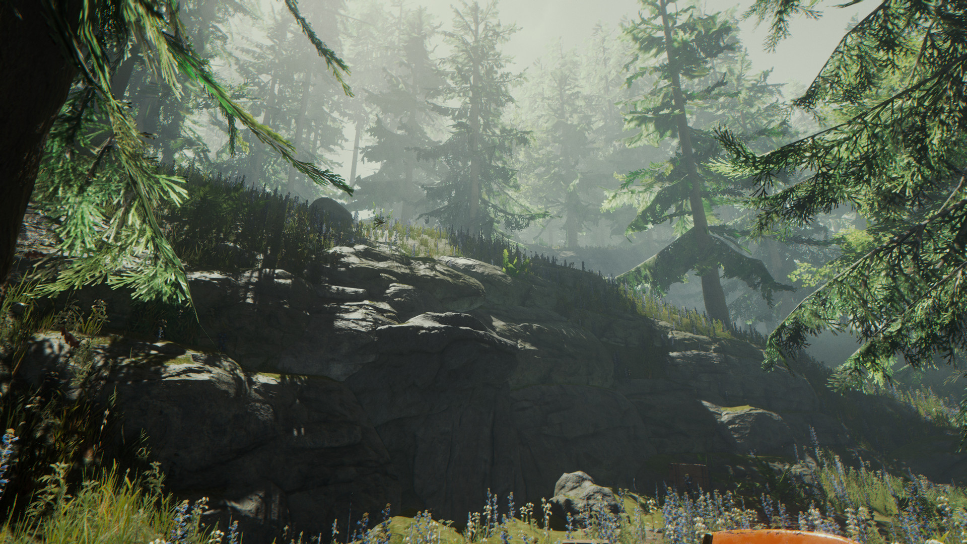 The Forest 